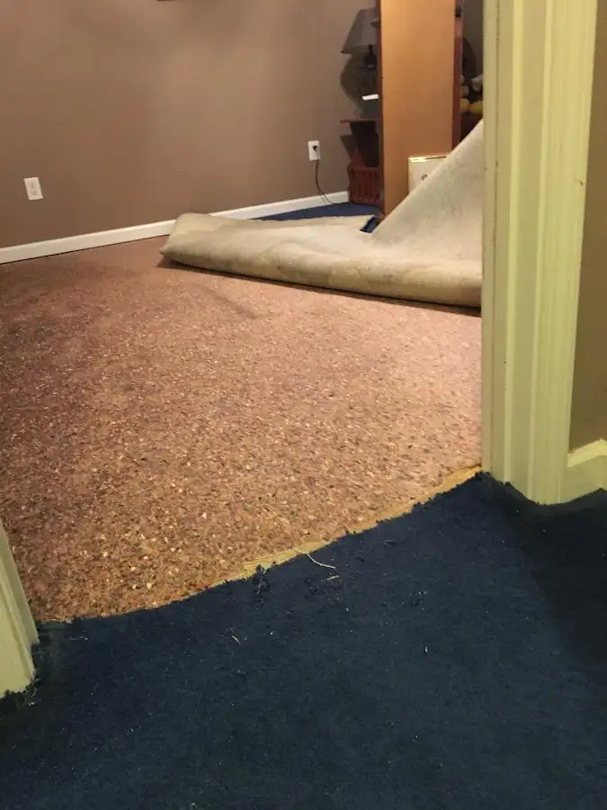Carpet pad removal revealing water damage during Drying & Dehumidification in Rotonda