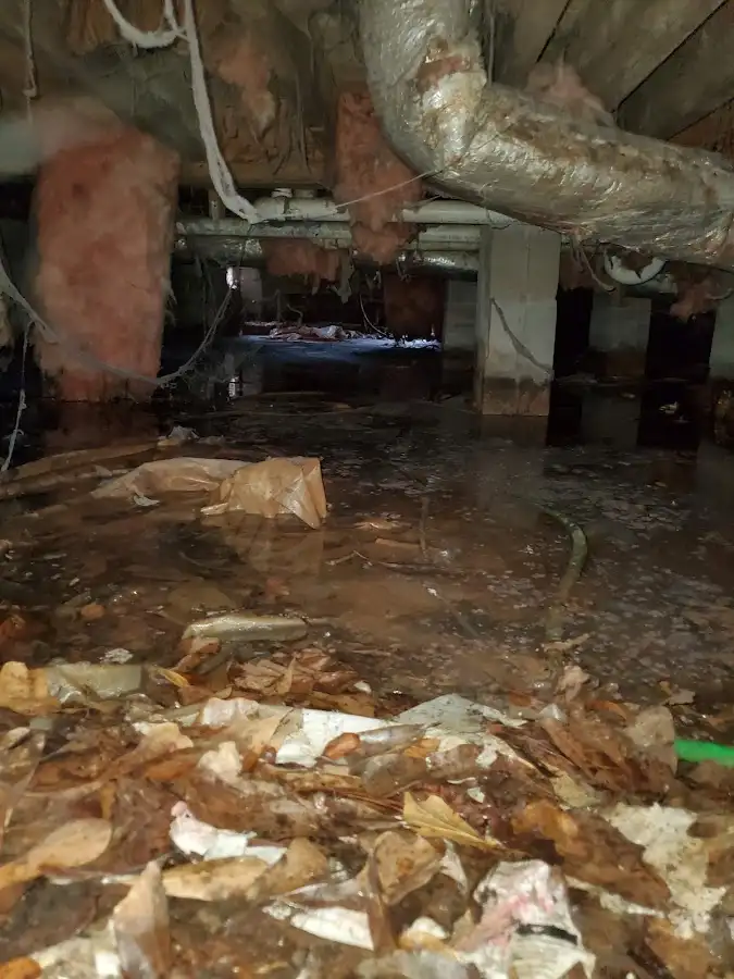 Crawl space flood assessment for Leak Detection & Repair in Rotonda