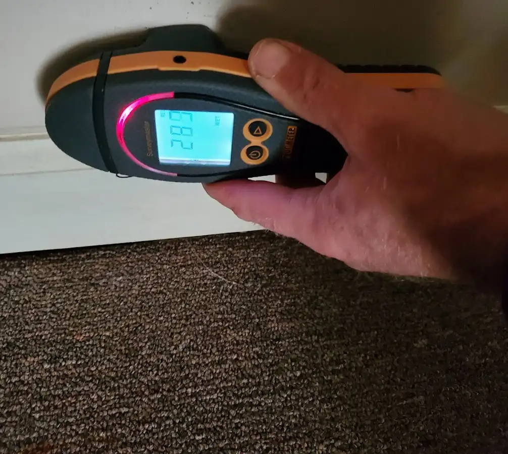 Moisture detection at baseboard during Mold Inspection & Testing in Rotonda